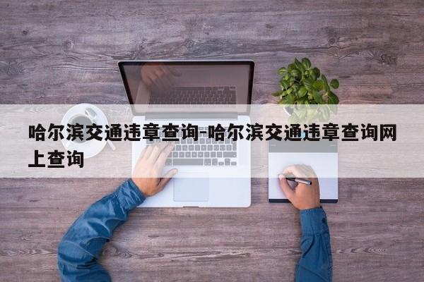 哈尔滨交通违章查询-哈尔滨交通违章查询网上查询