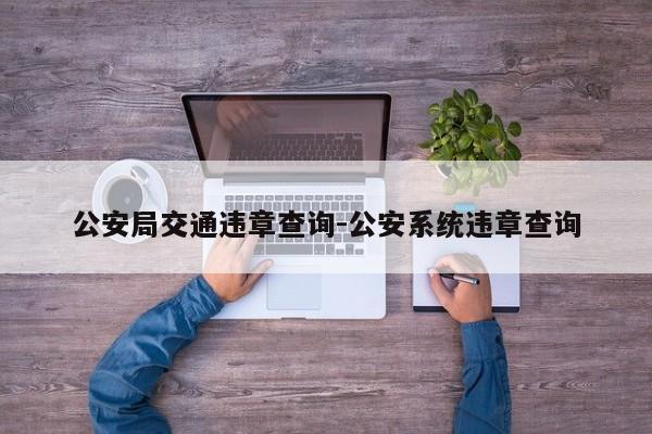 公安局交通违章查询-公安系统违章查询