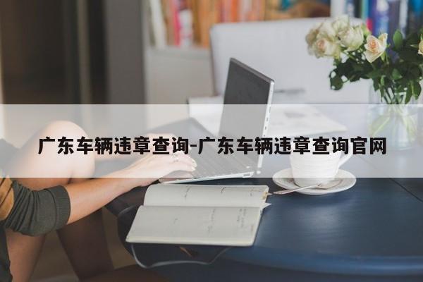 广东车辆违章查询-广东车辆违章查询官网